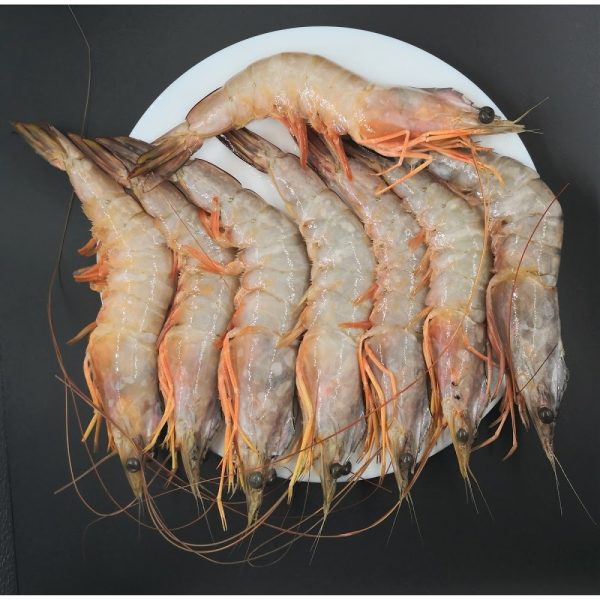 Sea white shrimps medium (20-30 piece per kg) origin Oman